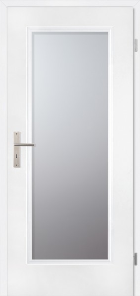 Profiltür Parma PFL5 / RAL 9016